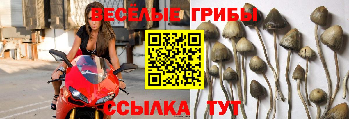 Галлюциногенные грибы ЛСД Самара